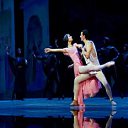  ,  -  19  2017          ͻ