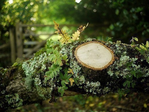 ||  ... || - 31  2017  18:39 - 5