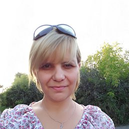 ���� �������, ������������, 49 ��� - ��������� 22 ������� 2017