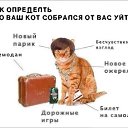 ���� �������, ����������� - ��������� 25 ������� 2017 � ������ ���� ����������