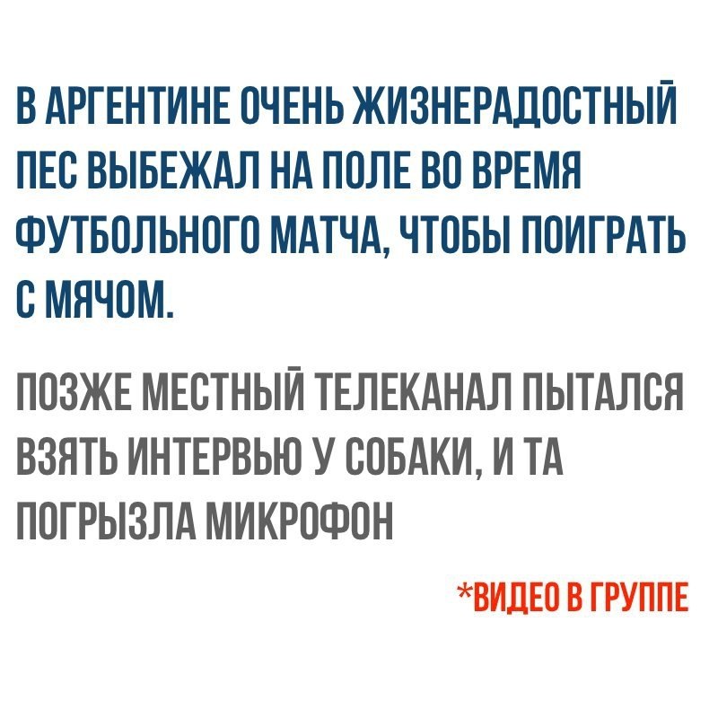    - 19  2017  13:00