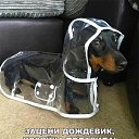 ���� �������, ������ - ��������� 24 �������� 2017 � ������ ������ ��������