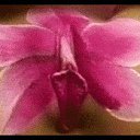 ���� ������, ������, 59 ��� - ��������� 6 ������� 2017 � ������ ���� ����������