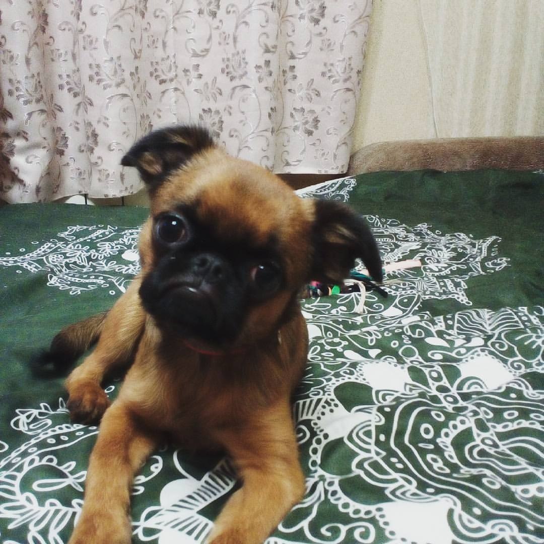 ���� ����� ���� ��� �������� ���������� �������� ����� � ��� ����� )))