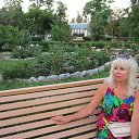 ���� ���������, ���������� - ��������� 13 ���� 2017 � ������ ���� ����������