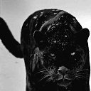 ���� ������, ������ - ��������� 31 ������� 2017 � ������ �������