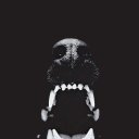  , -, 61  -  16  2017     