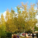 ����� 2017 �� ������� �2017�