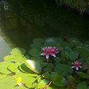 ���� ��������, �������������, 67 ��� - ��������� 24 ��� 2017