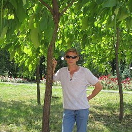 �������, ������, 56 ���