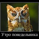  Aleks, , 65  -  1  2017    