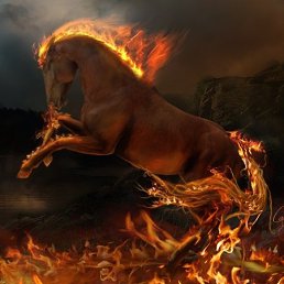 ���������, �����-���������, 59 ���