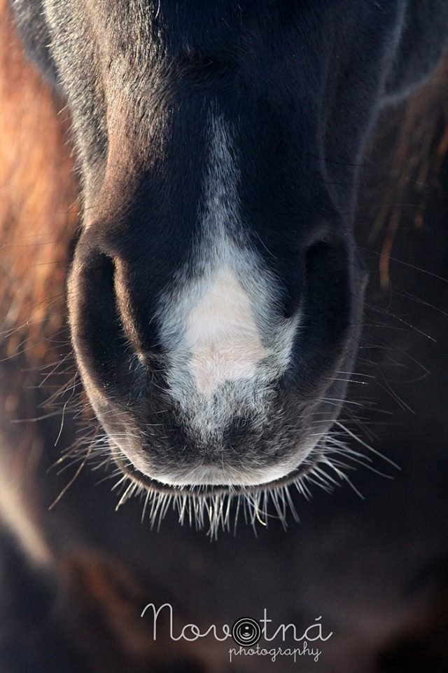  -   ! - 14  2017  11:24