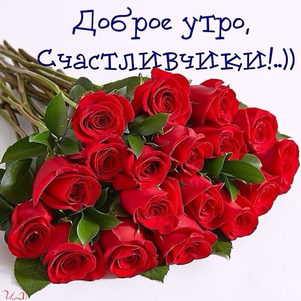 Доброе утро, добрые люди! Пусть день наступающий радостным будет! Воскреснут надежды, утихнут ...