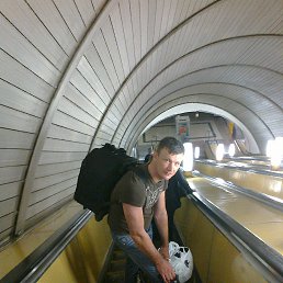 ������, �������, 48 ���