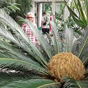 ���� �����, �����������, 72 ���� - ��������� 15 ������ 2017 � ������ ���� ����������