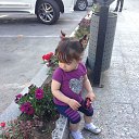 Fidan balam. �� ������� ���������� ������