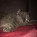 ���� �����, ���������, 45 ��� - ��������� 24 ������� 2017 � ������ ���� ����������