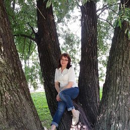 ���� �������, ������, 54 ���� - ��������� 1 ������� 2017