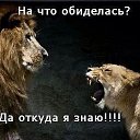 ���� Mark, ��������� - ��������� 5 �������� 2017 � ������ ������ ��������