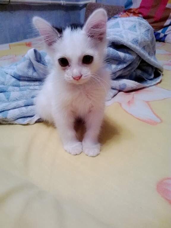 #_. 4,5           .   ... - 2