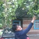 ���� �������, �������, 61 ��� - ��������� 31 ������� 2017 � ������ ���������� ������