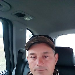 ���������, ���������, 47 ���