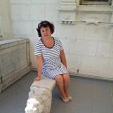 ���� ����, ���� - ��������� 22 ������� 2017 � ������ ���������� ������