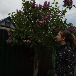 ������, ������