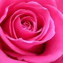 ���� ����, �����������, 38 ��� - ��������� 8 ���� 2017 � ������ ���� ����������