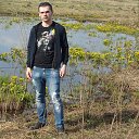  , , 36  -  3  2017    ( 2017)