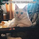 ���� ��������, ������, 48 ��� - ��������� 13 �������� 2017 � ������ ���� ����������