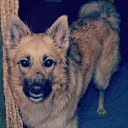 ���� Valentin, ��������, 43 ���� - ��������� 4 ��� 2017 � ������ �8al�