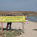 ���� ���������, ����������� - ��������� 29 ������� 2017 � ������ ���� ����������