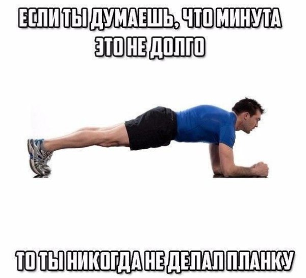 SportFeed - 21  2017  17:50