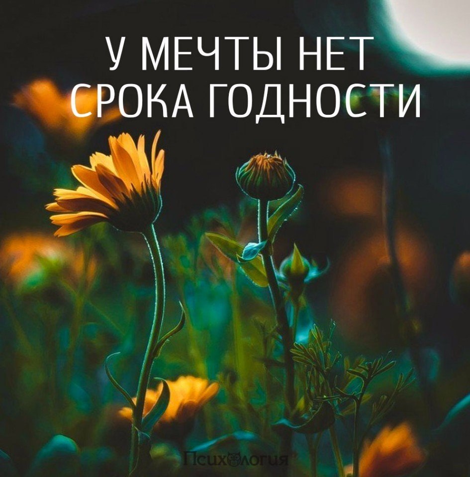  - 21  2017  14:59