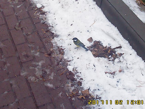  - 2  2017  18:03 - 13