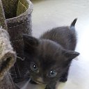 �������� ����� �� ������ ������. (24 ��� �� ��������) �� ������� ���� ����������