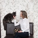 ���� �������, ������ - ��������� 12 ��� 2017 � ������ ���� ����������