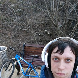 �����, ������, 36 ���