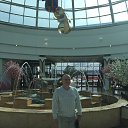 ���� �������, �����-���������, 66 ��� - ��������� 15 ������� 2017 � ������ ���� ����������