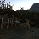 ���� ����, ���������, 56 ��� - ��������� 27 ������� 2017 � ������ ���� ����������