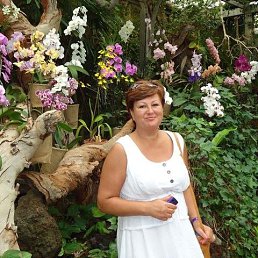 �������, �����-���������