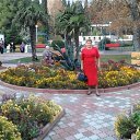 ���� ��������, ������, 67 ��� - ��������� 24 �������� 2017