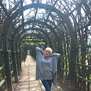 ���� ����, ������, 52 ���� - ��������� 22 ��� 2017 � ������ ���� ����������