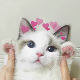 ���, �������