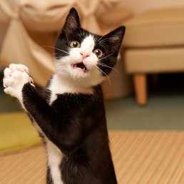 Evgeniy, ��������