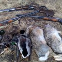 ���� �����, ������������ - ��������� 10 �������� 2017 � ������ ���� ����������