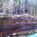 ���� ���������, �����-���������, 53 ���� - ��������� 25 ��� 2017 � ������ ������ ��������