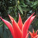 ���� �������, ������ - ��������� 28 ��� 2017 � ������ ������ ��������